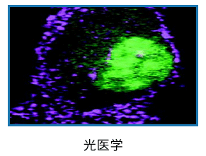 半導體_09.gif
